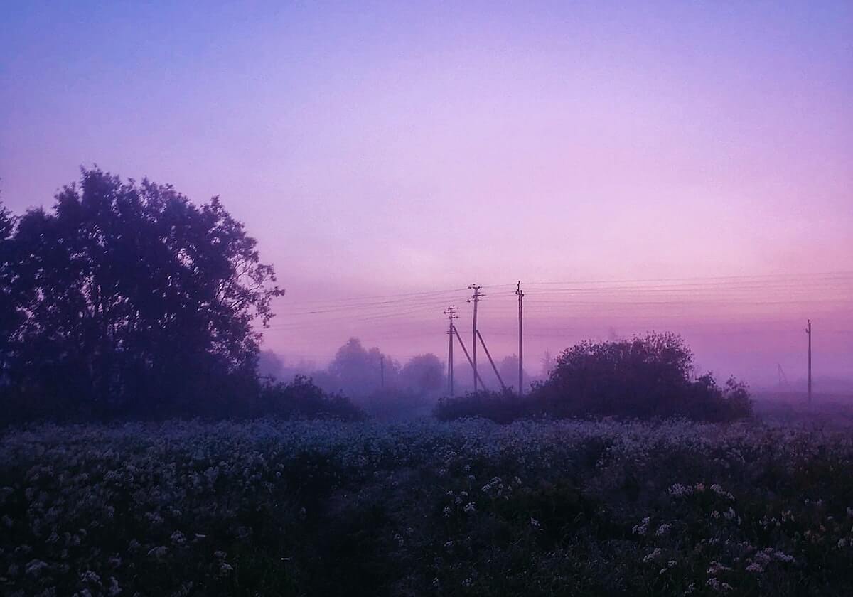 世界杯官网入口-郑智联赛冠军奖杯停留11个 明年再战弥补遗憾？